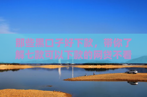那些黑口子好下款，带你了解七款可以下款的网贷不看征信