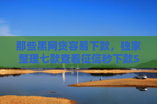 那些黑网贷容易下款，独家整理七款查看征信秒下款5000的网贷