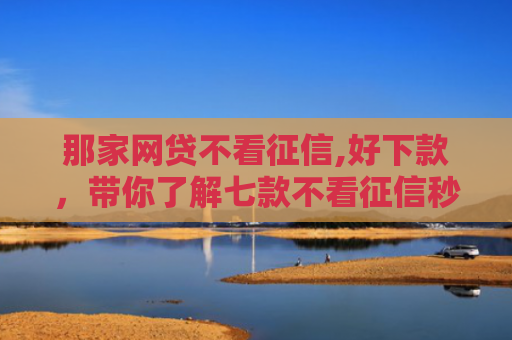 那家网贷不看征信,好下款，带你了解七款不看征信秒下款的网贷6