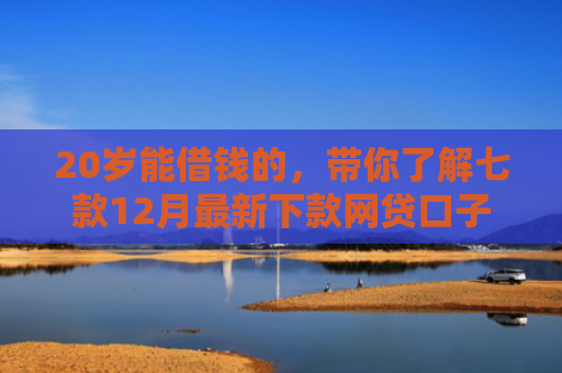 20岁能借钱的，带你了解七款12月最新下款网贷口子