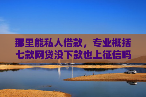那里能私人借款，专业概括七款网贷没下款也上征信吗