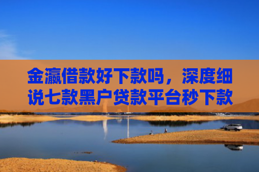 金瀛借款好下款吗，深度细说七款黑户贷款平台秒下款