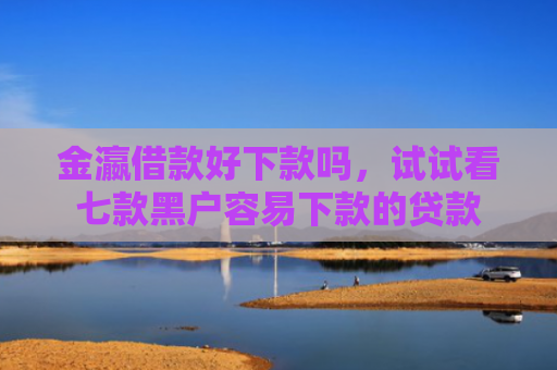 金瀛借款好下款吗，试试看七款黑户容易下款的贷款