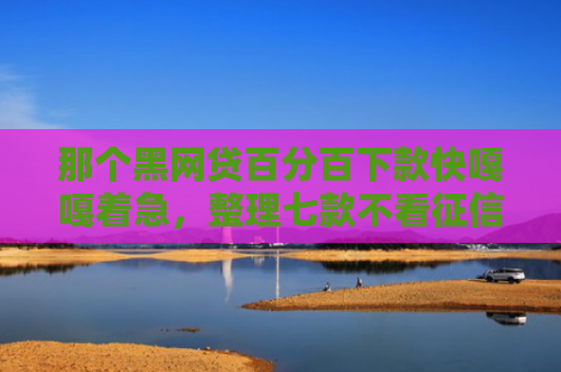 那个黑网贷百分百下款快嘎嘎着急，整理七款不看征信必下款的网贷