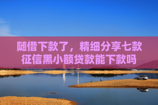 随借下款了，精细分享七款征信黑小额贷款能下款吗