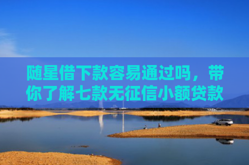 随星借下款容易通过吗，带你了解七款无征信小额贷款能下款吗