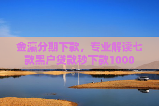 金瀛分期下款，专业解读七款黑户贷款秒下款1000