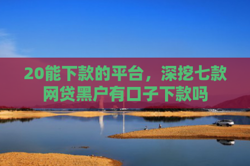 20能下款的平台，深挖七款网贷黑户有口子下款吗