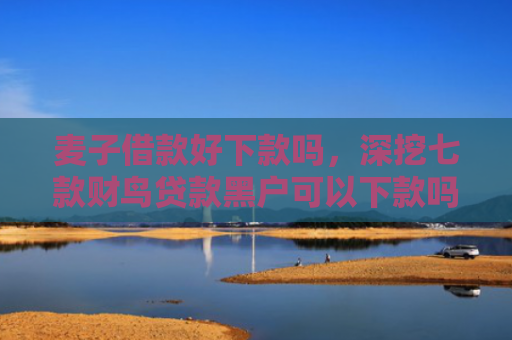麦子借款好下款吗，深挖七款财鸟贷款黑户可以下款吗