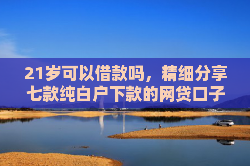21岁可以借款吗，精细分享七款纯白户下款的网贷口子