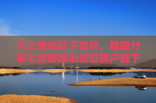 马上钱包好下款吗，精细分享七款哆哆米贷款黑户能下款吗