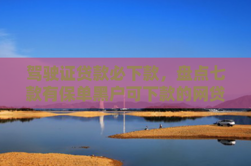 驾驶证贷款必下款，盘点七款有保单黑户可下款的网贷